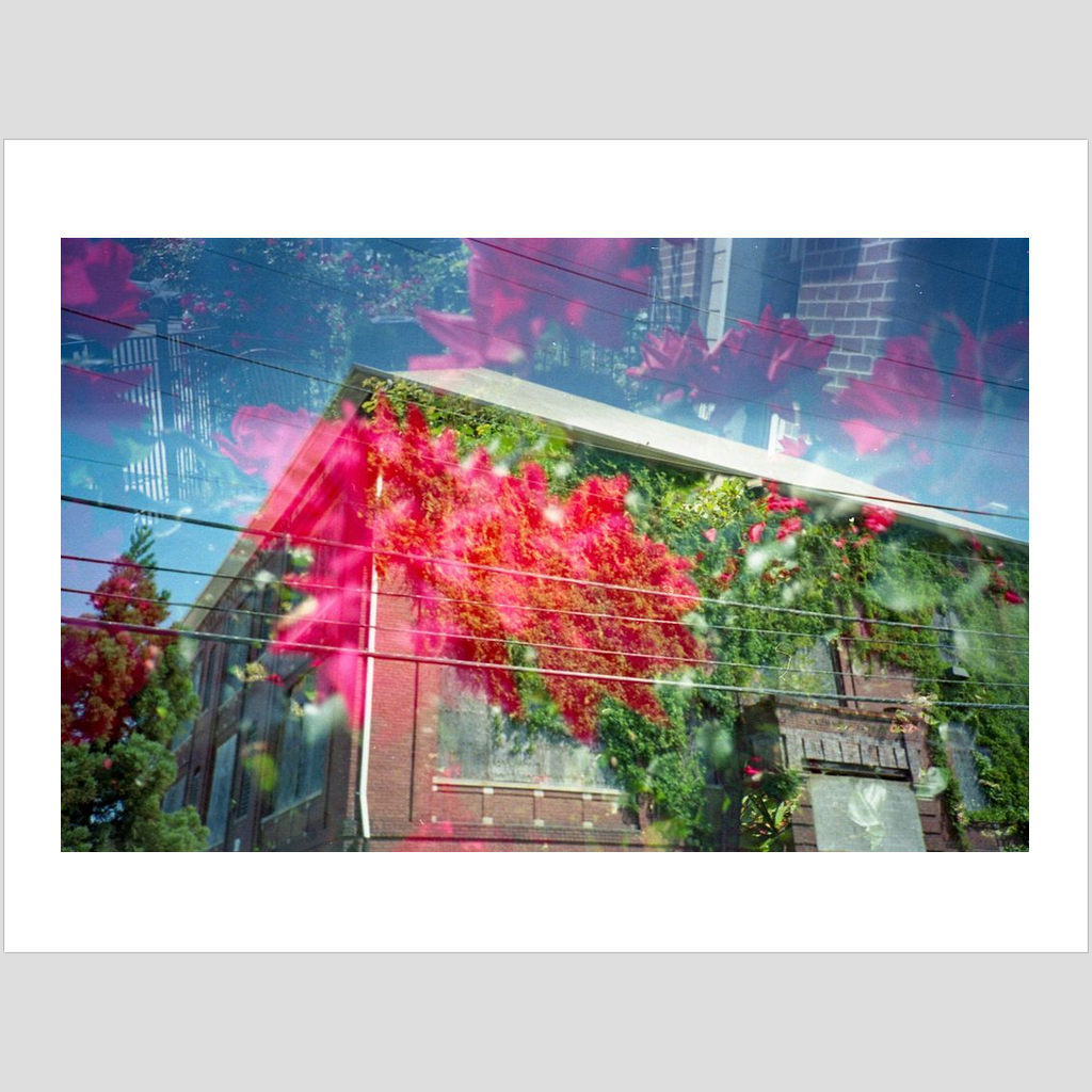 "Crumel in Bloom" Premium Art Print